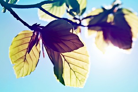 子月丁火杀重身弱八字案例_八字里身很重什么意思