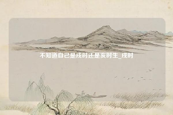 不知道自己是戌时还是亥时生 戌时 亥月八字 易学 第1张